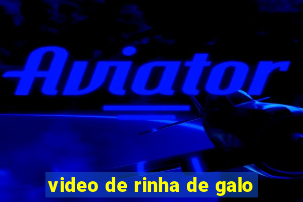 video de rinha de galo